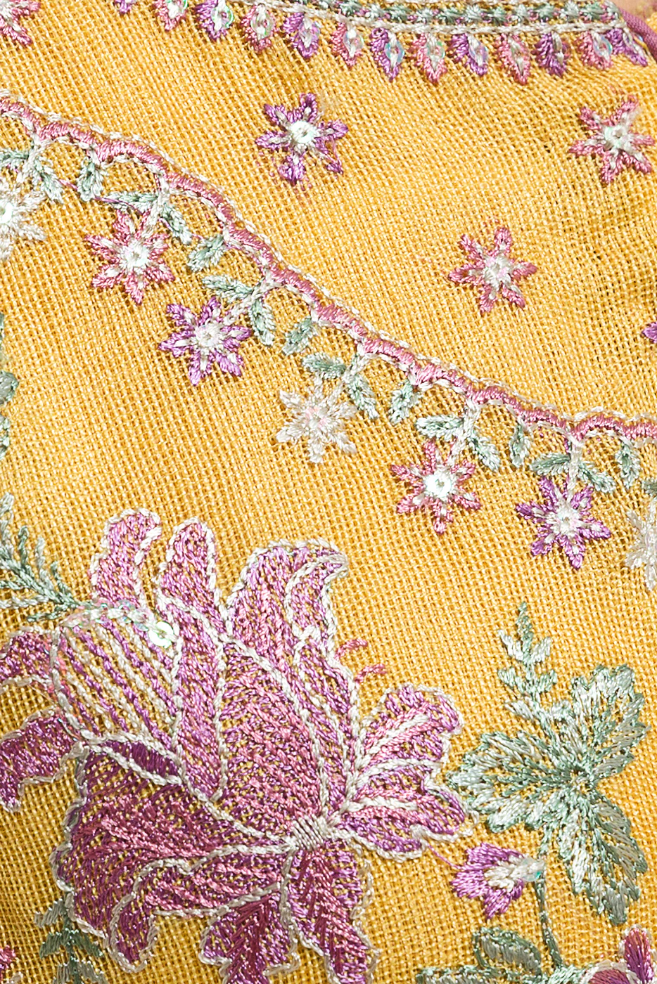 2 PIECE EMBROIDERED COTTON NET SUIT (LUXURY PRET) - Image 4